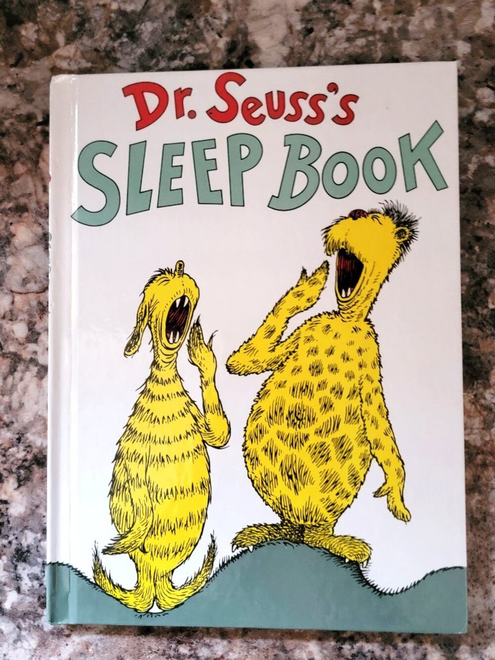 Dr Seuss's Sleep Book-Large Size